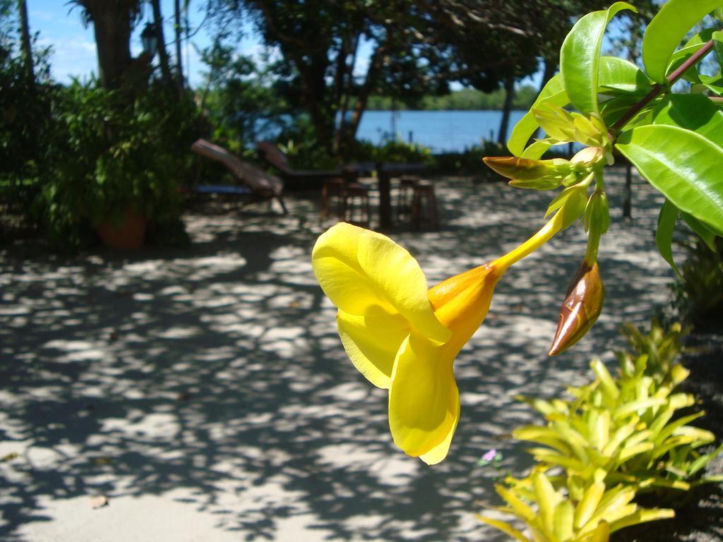 Pousada Arcadia อิตากาเร ภายนอก รูปภาพ